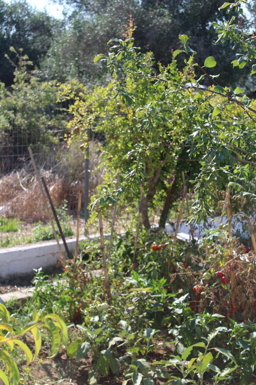 Holiday home Shanti Liapades
